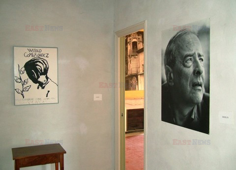 Fotonova 2008