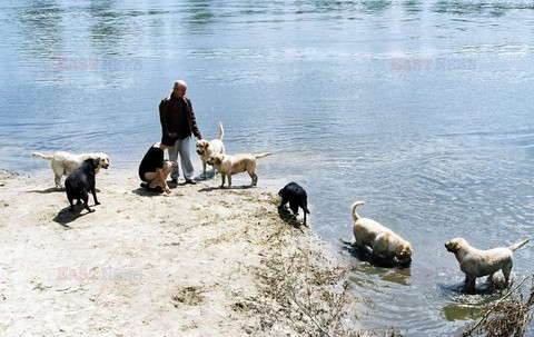 Fotonova 2008