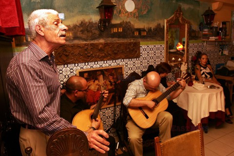 Fotonova 2008