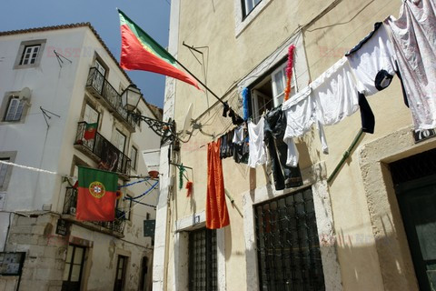 Fotonova 2008