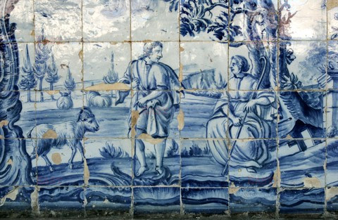 Fotonova 2008