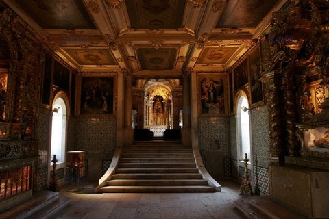 Fotonova 2008