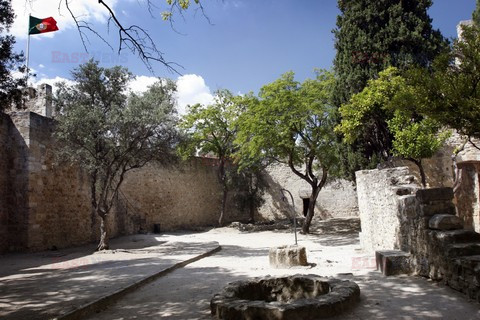 Fotonova 2008