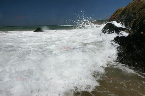 Fotonova 2008