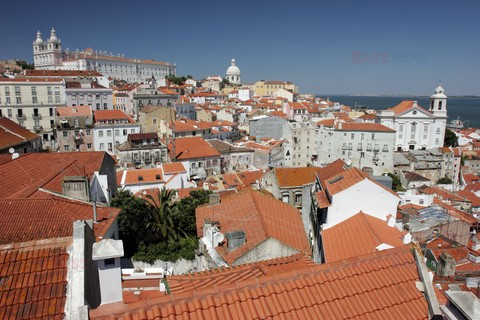 Fotonova 2008