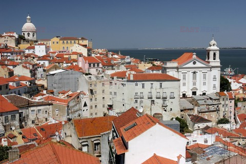 Fotonova 2008
