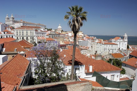 Fotonova 2008