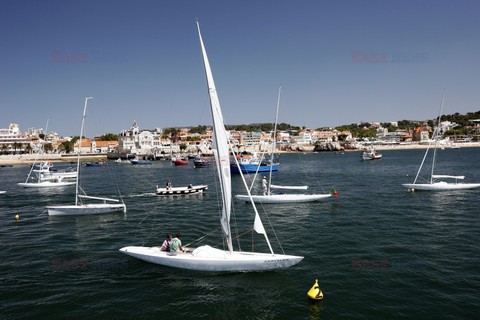 Fotonova 2008