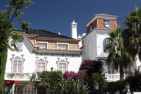 Fotonova 2008