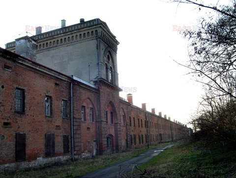 Fotonova 2008