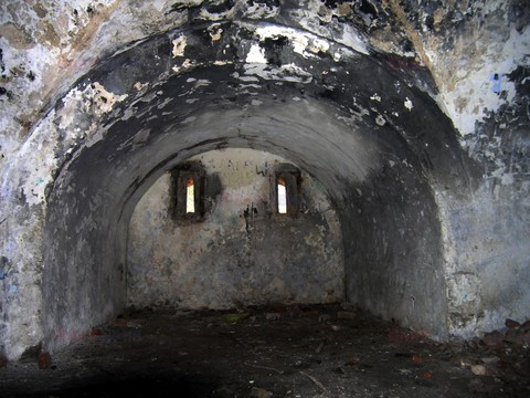 Fotonova 2008