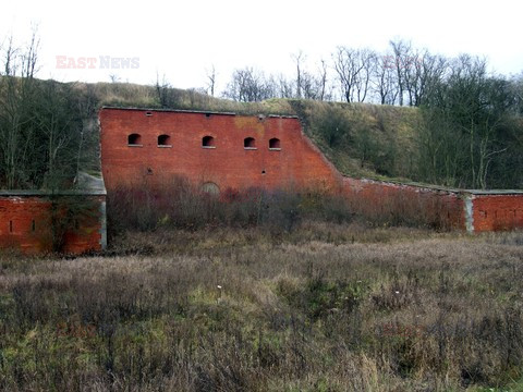 Fotonova 2008
