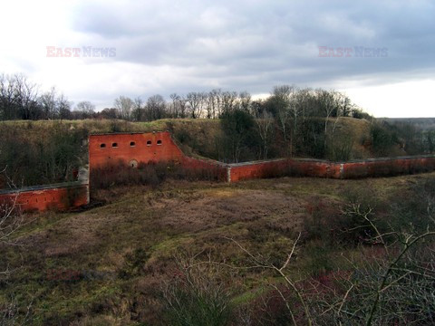Fotonova 2008