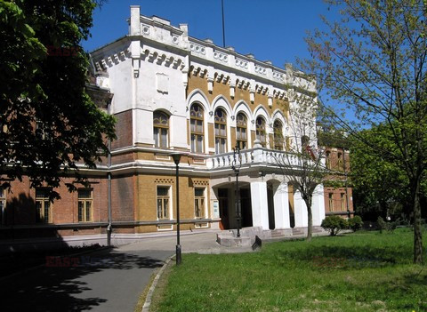 Fotonova 2008