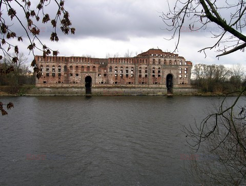 Fotonova 2008
