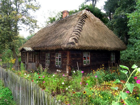 Fotonova 2008