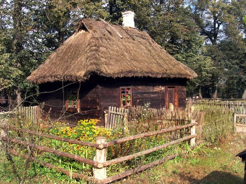 Fotonova 2008