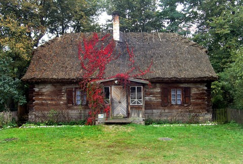 Fotonova 2008