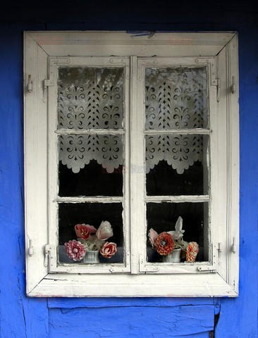 Fotonova 2008
