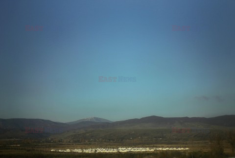 Fotonova 2008