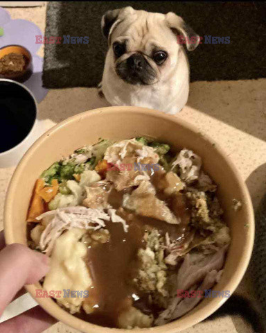 W każdą niedzielę serwuje psu pieczony obiad