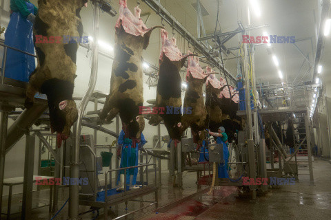 Zakłady mięsne Miratorg w Briańsku