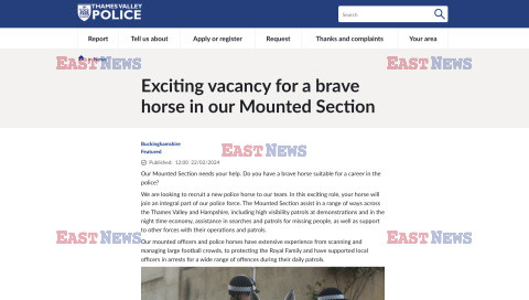 Angielska policja szuka koni do służby