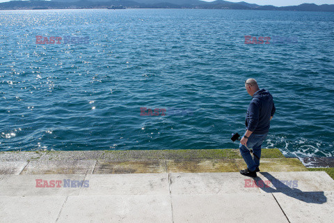 Zadarskie morskie organy pokryte glonami