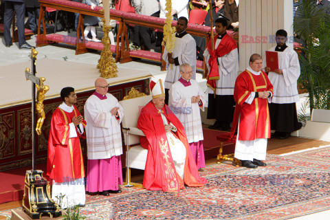 Niedziela Palmowa w Watykanie