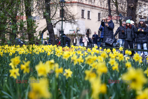 Wiosna w Polsce