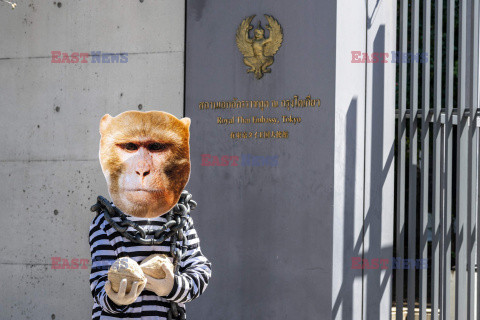 Protest PETA przed ambasadą tajską w Tokio