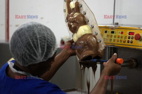 Produkcja czekoladowych zajączków