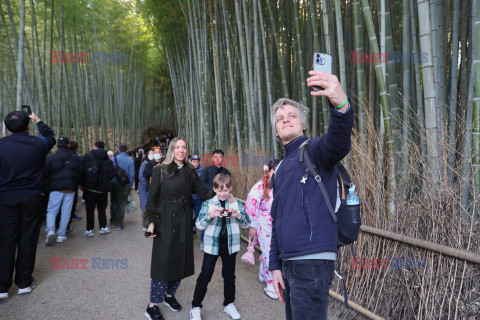 Turyści w lesie bambusowym w Kioto