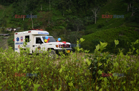 Uprawy koki kontrolowane przez kolumbijskich partyzantów - AFP