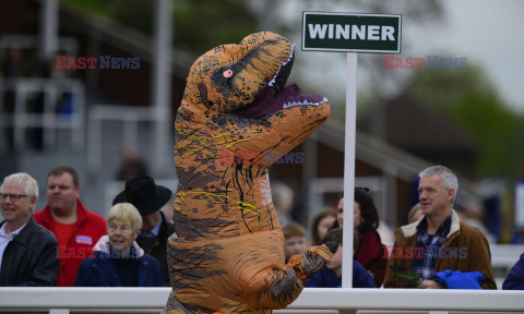 Wyścig dinozaurów w Taunton