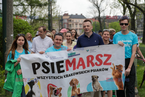 Psiemarsz z Łukaszem Gibałą w Krakowie