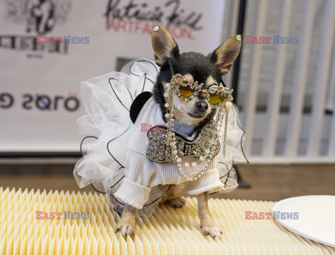 Nicky Hilton z córką na pokazie mody dla psów