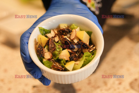 Insektarium w Nowym Orleanie serwuje dania z owadów