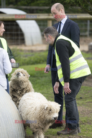 Książę Walii podczas wizyty na farmie