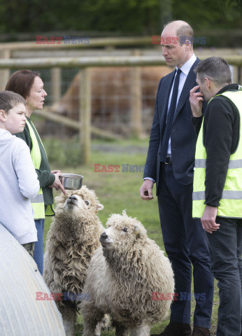 Książę Walii podczas wizyty na farmie