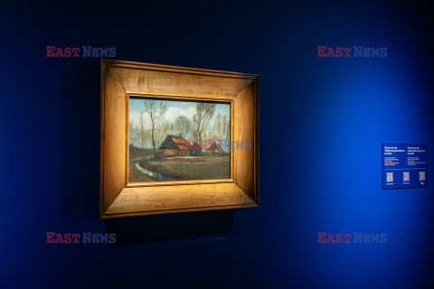 Polski van Gogh dostępny dla publiczności