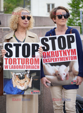 Protest w obronie tzw. zwierząt laboratoryjnych