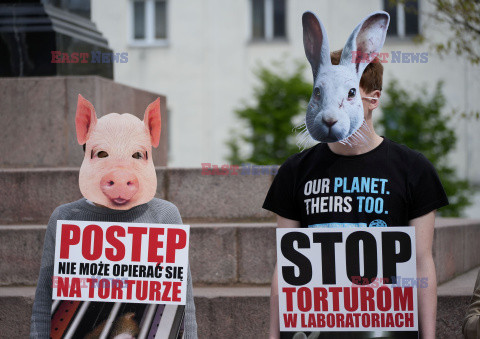 Protest w obronie tzw. zwierząt laboratoryjnych