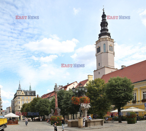 Architektura i sztuka sakralna w Polsce Monk