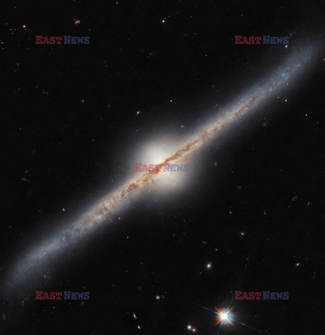 Archiwum zagraniczne East News 2024-12