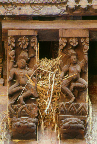 archiwalia arch2