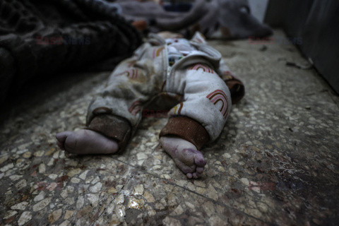 Gehenna Gazy