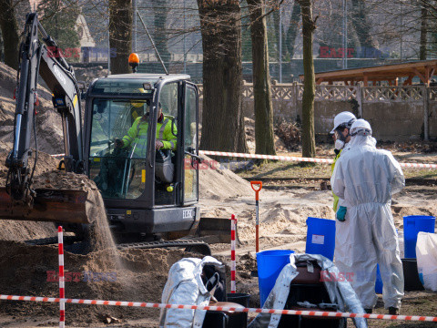 Utylizacja butelek z fosforem ze stadionu w Żaganiu