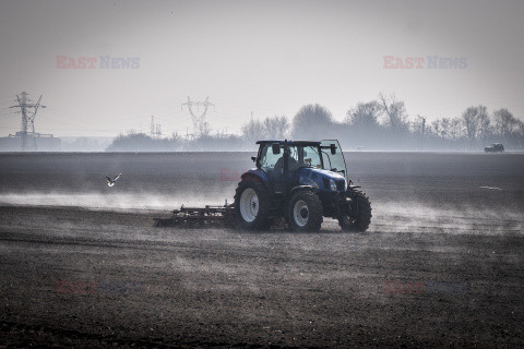 Reporter archiwum 2025 03