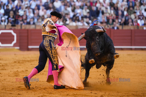 Corrida w Sewilli